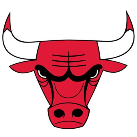 CHICAGO BULLS